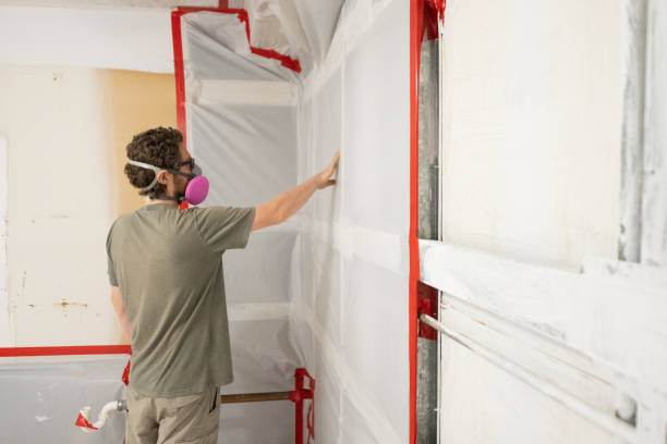  Offutt Af, NE Mold Removal Pros