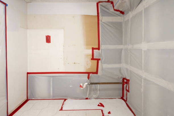 Best Water Damage & Mold Remediation  in Offutt Af, NE