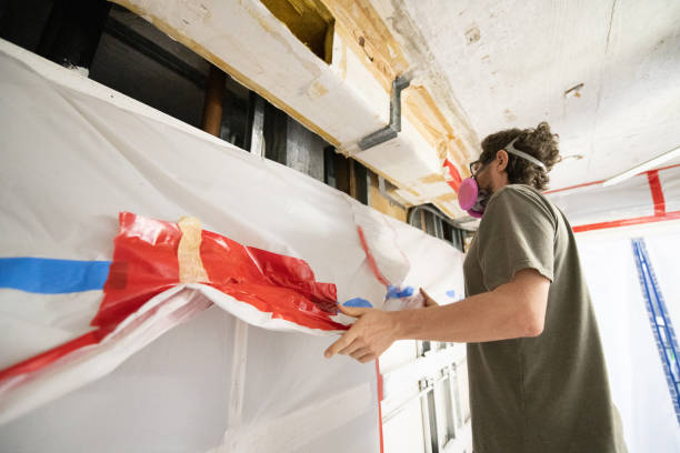 Best Biohazard Mold Removal  in Offutt Af, NE