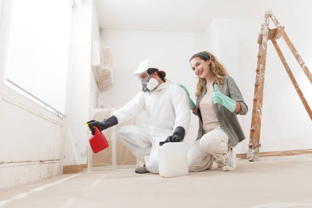 Best Mold Documentation for Insurance Claims  in Offutt Af, NE